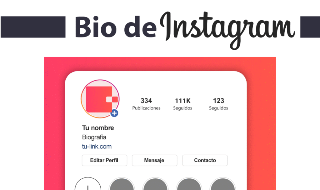 Biografía de Instagram perfecta
