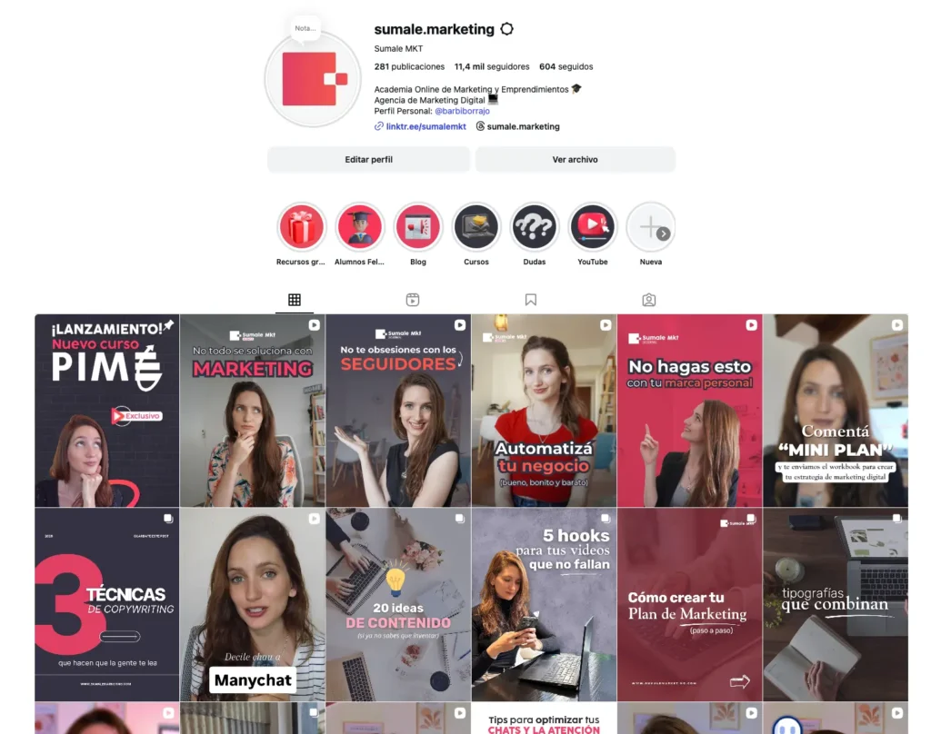 auditoria de instagram